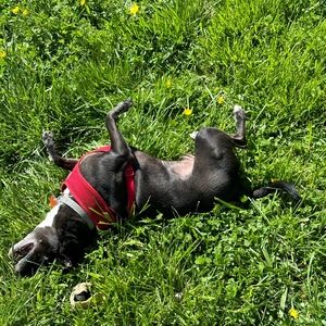 Meet your Posher, Sara